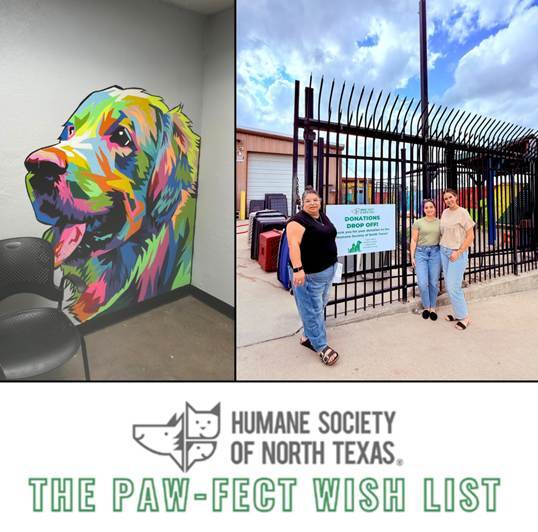 Humane Society of North Texas SNCares Donation Drive