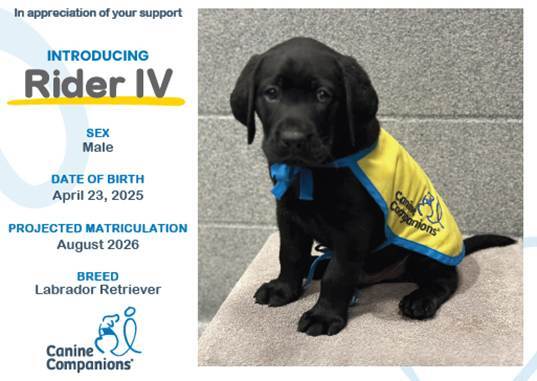 Canine Companions SNCares Introducing Rider IV